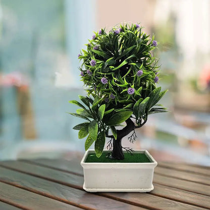 Small Bonsai Tree