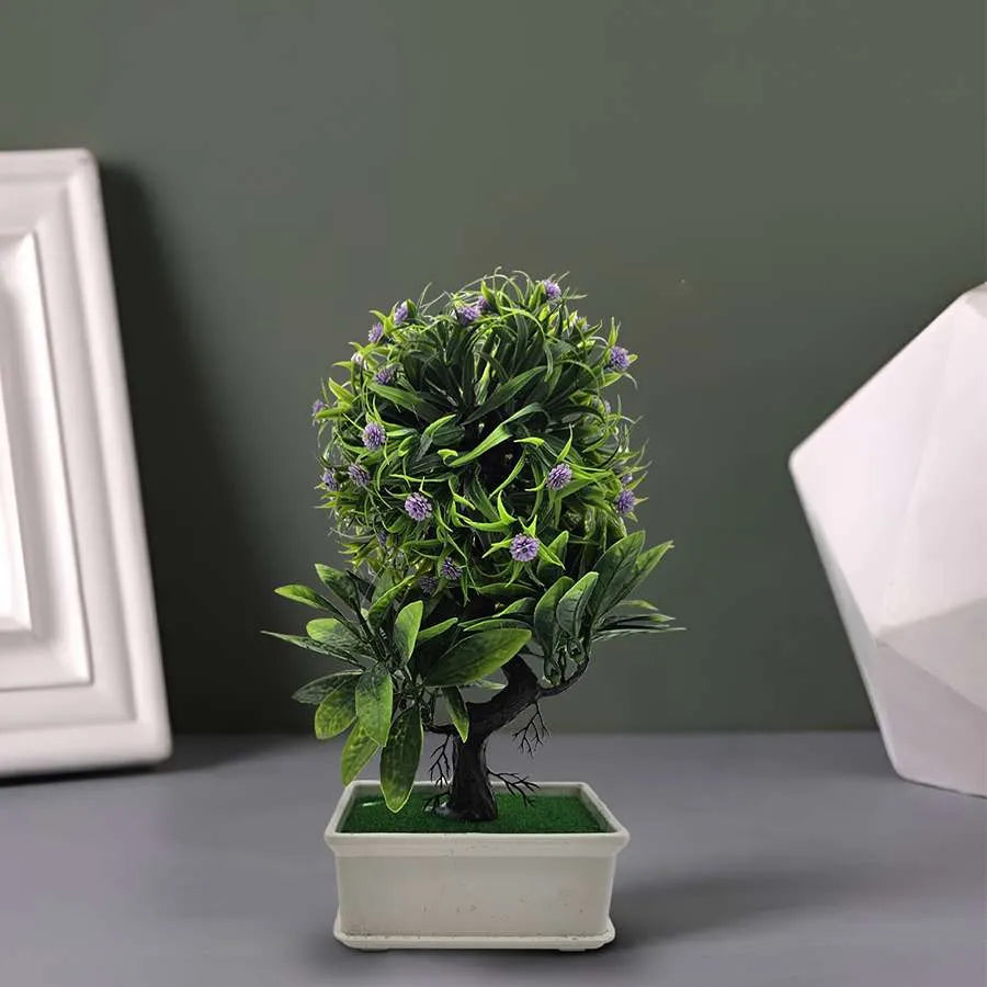 Small Bonsai Tree