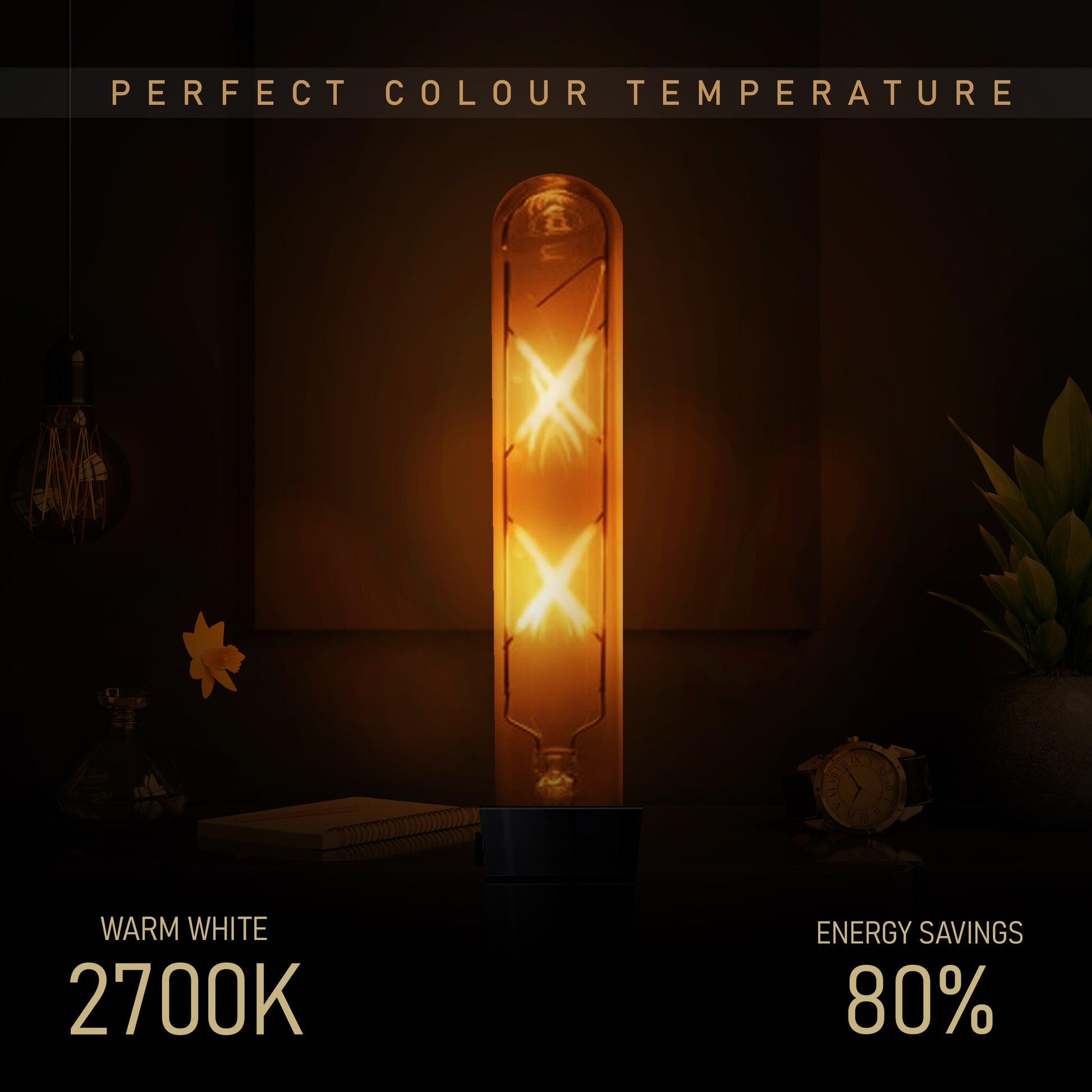 Filament Light Bulb